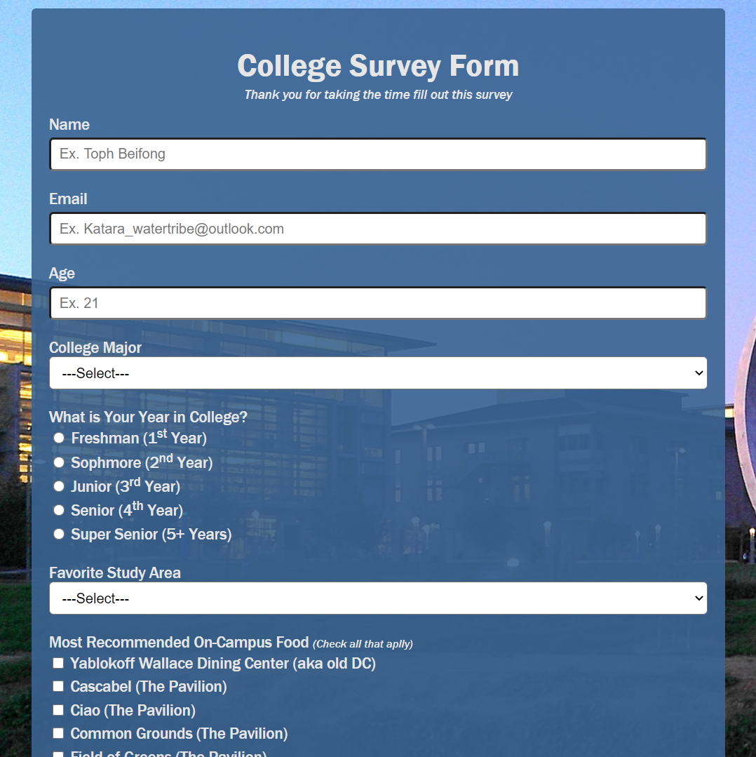 College Survey Form Preview